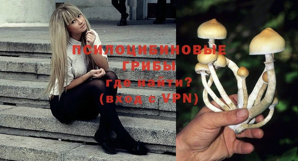 метадон Аркадак